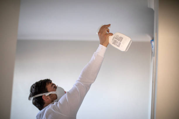 Best Attic Mold Remediation in Pearsall, TX