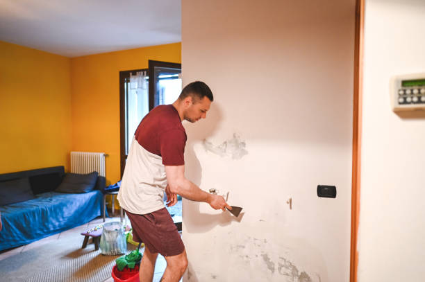 Professional Mold Remediation in Pearsall, TX